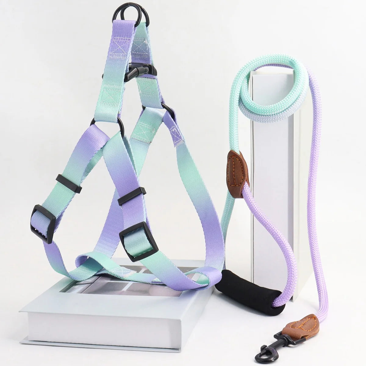 Colorful Adjustable Dog Vest Harness with Matching Leash - Comfortable Polyester Pet Harness for Indoor & Outdoor Walks