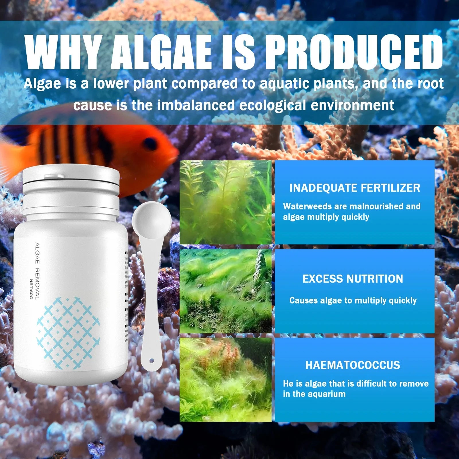 Aquarium Algae Tablets 50-Pack with Spoon, Fish Tank Algaecide Moss & Odor Remover Water Purifier