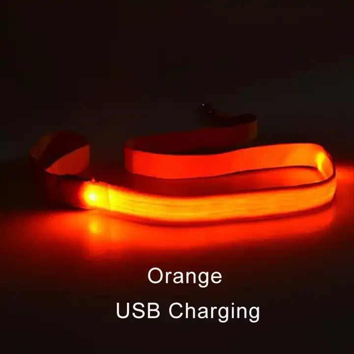 LED Light-Up Dog Leash 47.2 in (120 cm) Luminous Rope Safety Lead for Night Walks
