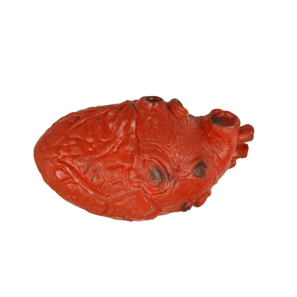 Lifelike Bloody Human Heart Prop, Life-Size Rubber Halloween Decoration, Severed Gory Body Part