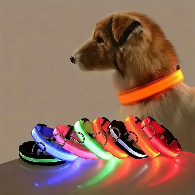 LED Glow Nylon Dog Collar & Leash - Luminous Flashing Night Safety for Dogs