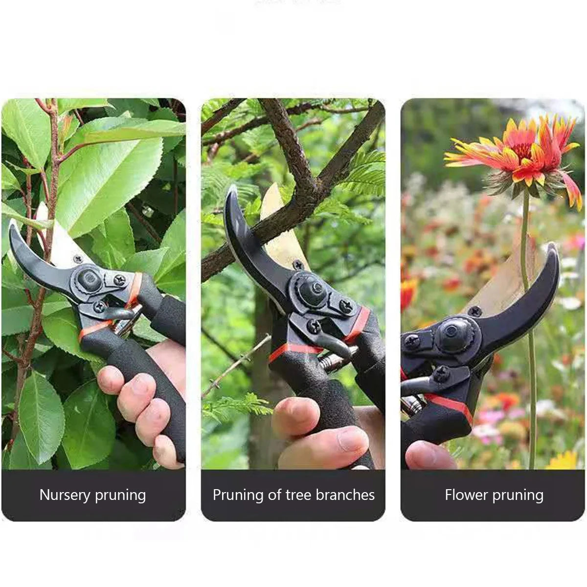 Precision Stainless Steel Pruning Shears - Ergonomic Hand Pruners for Garden, Shrubs & Orchards