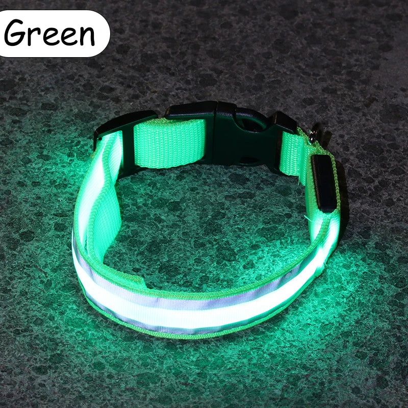 LED Luminous Nylon Dog Collar – Glow Reflective Safety Collar for Night Walks (XS-XL)