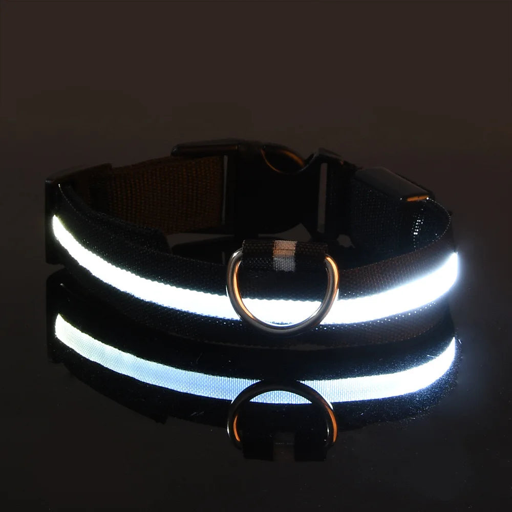 LED Glow-in-the-Dark Nylon Dog Collar & Leash — Flashing Luminous Safety Pet Collar