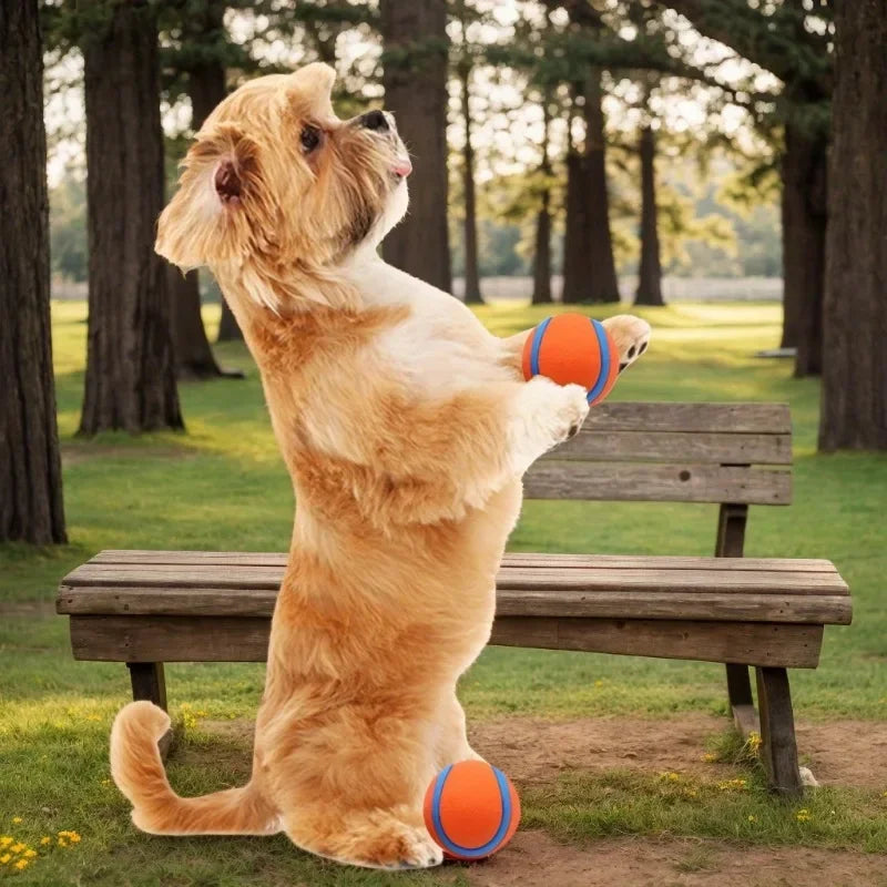 Durable Rubber Dog Fetch Ball – Tough Chew & High-Bounce Toy for Small, Medium and Large Dogs