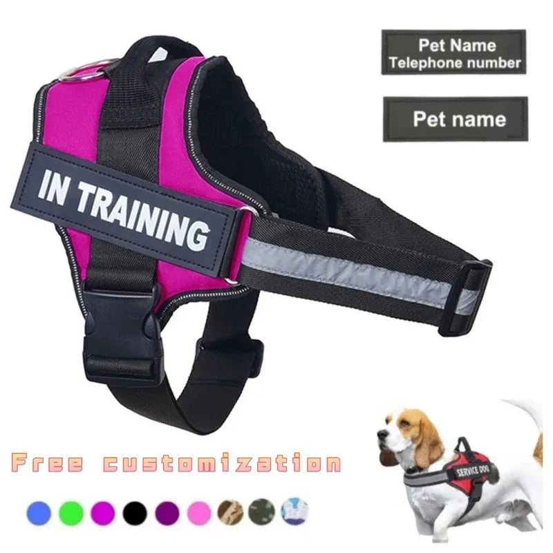 Personalized Reflective No-Pull Dog Harness Vest - Adjustable Nylon Pet Harness with Handle & Leash Attachment - Small/Medium/Large