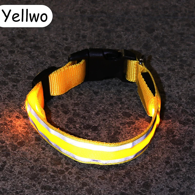 LED Luminous Nylon Dog Collar – Glow Reflective Safety Collar for Night Walks (XS-XL)