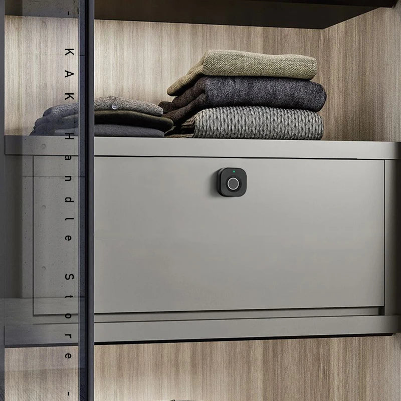 Biometric Fingerprint Cabinet & Drawer Lock Keyless Smart Lock Black — Anti-Theft, Long Standby