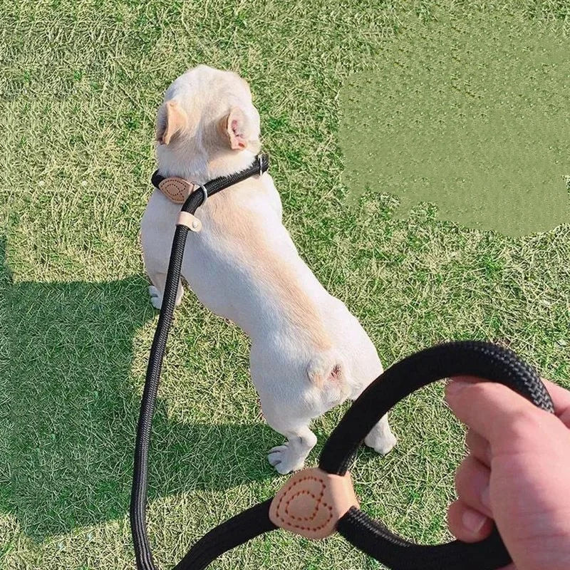 Personalized Nylon Dog Leash with Quick-Release Clip, Adjustable Loop Collar for Small to Medium Dogs