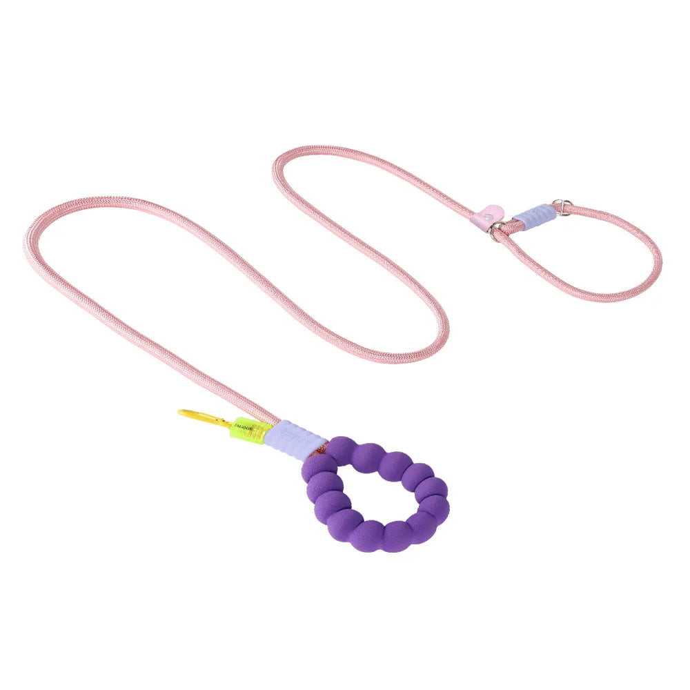 Durable Dog Leash – Sturdy Basic Pet Leash for Everyday Walks and Training