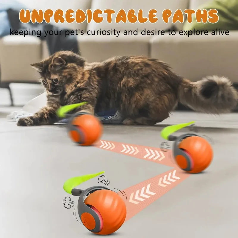 Interactive Cat Ball Toy with Replaceable Tail USB Rechargeable Dual-Speed Automatic Cat Toy for Indoor Cats