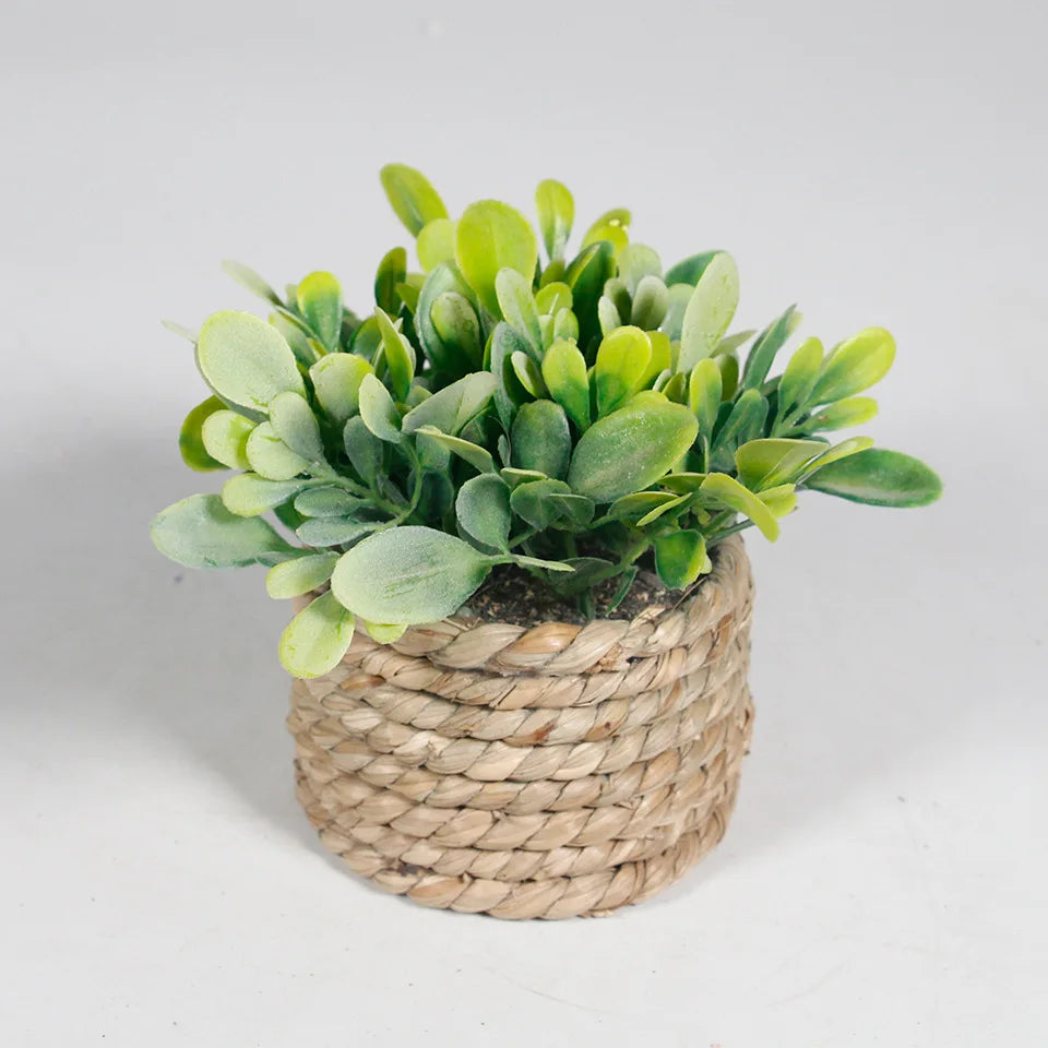 Faux Eucalyptus Potted Plant 11 cm (4.33 in) Green Artificial Tabletop Plant for Home and Office Decor