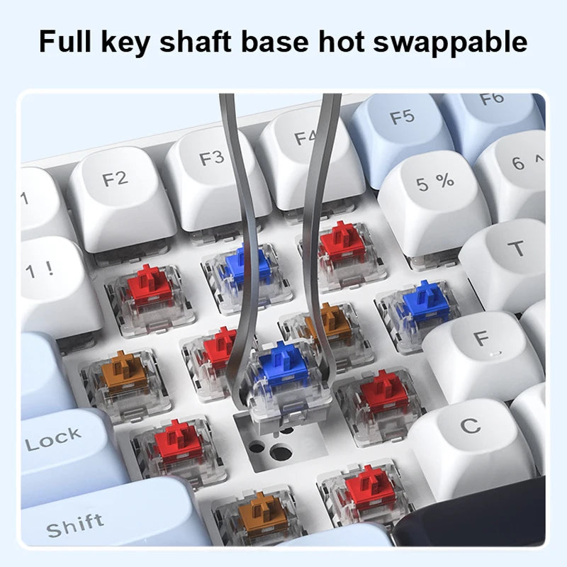 Wireless Mechanical Keyboard - 3-Mode (Wired/2.4GHz/Bluetooth), 100-Key Hot-Swap RGB PBT Keycaps, 4000mAh