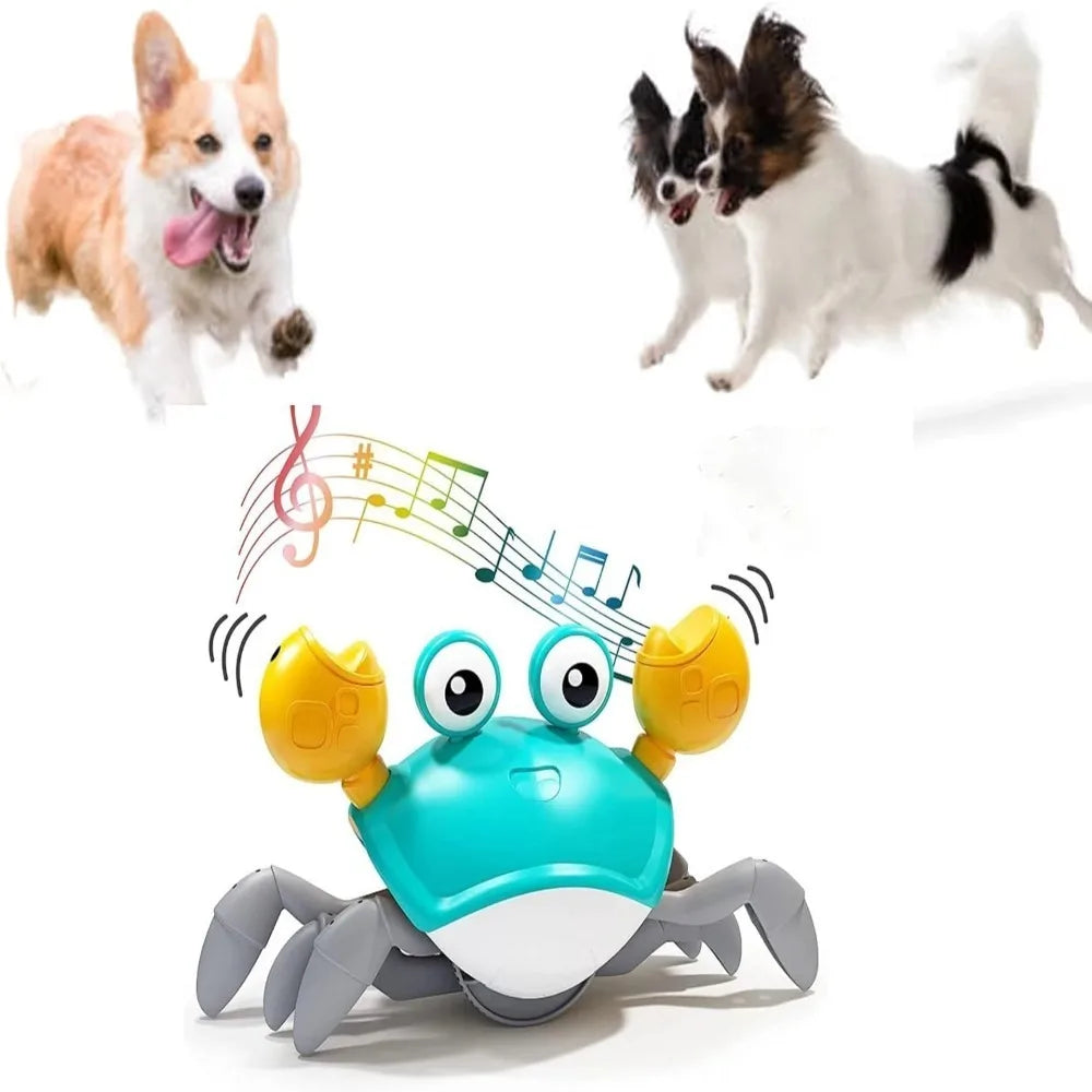 Interactive Dancing Crab Pet Toy with Music — Battery-Powered Dog & Cat Toy for Active Play