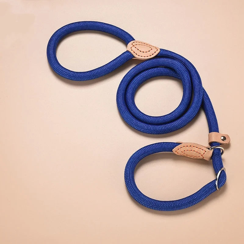 Personalized Nylon Dog Leash with Quick-Release Clip, Adjustable Loop Collar for Small to Medium Dogs
