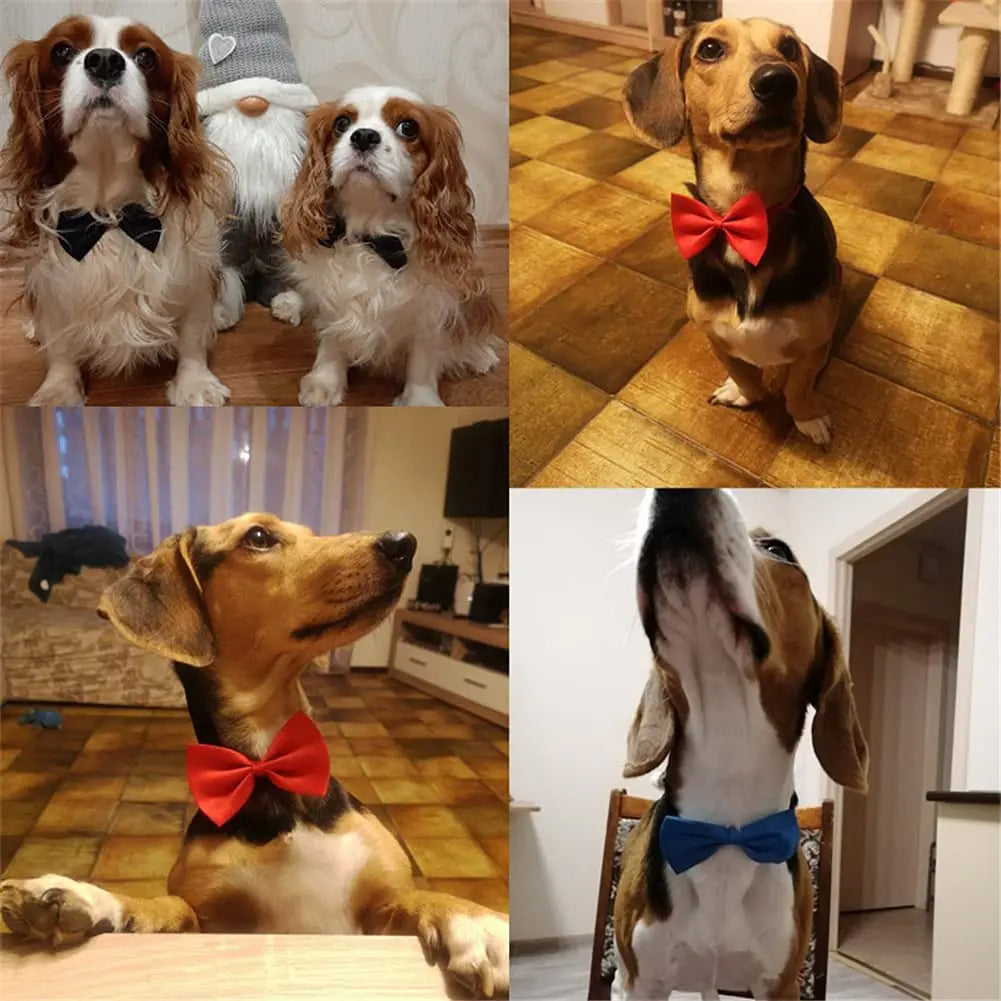 Adjustable Bow Tie Collar for Dogs & Cats - Pet Bowknot Necklace for Puppies