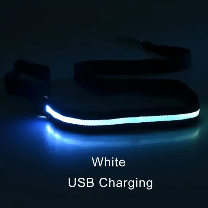 LED Light-Up Dog Leash 47.2 in (120 cm) Luminous Rope Safety Lead for Night Walks