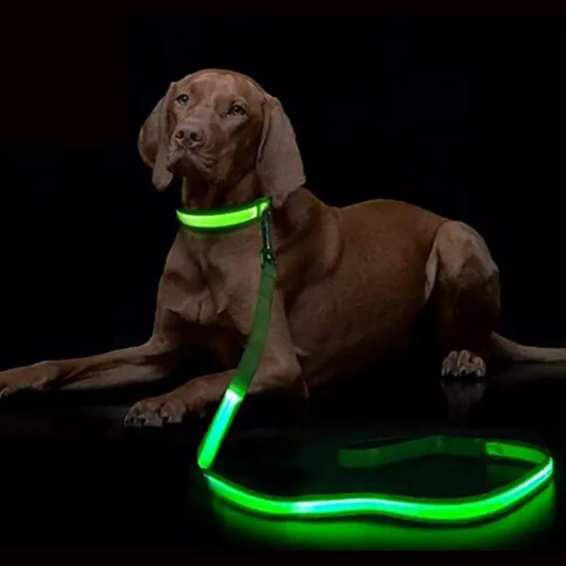 LED Light-Up Dog Leash 47.2 in (120 cm) Luminous Rope Safety Lead for Night Walks