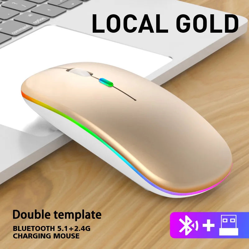 Rechargeable Bluetooth & 2.4GHz Wireless Mouse — Silent Click, RGB, Ergonomic, USB-C Charging for PC Mac iPad Laptop Phone TV