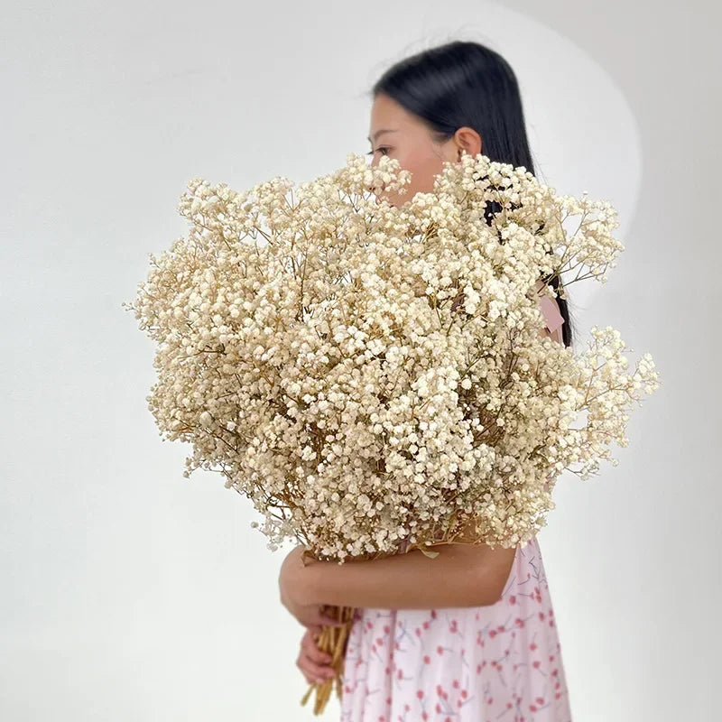 100g (3.5 oz) Dried Baby's Breath Gypsophila Bouquet - Preserved Boho Floral Home & Wedding Decor