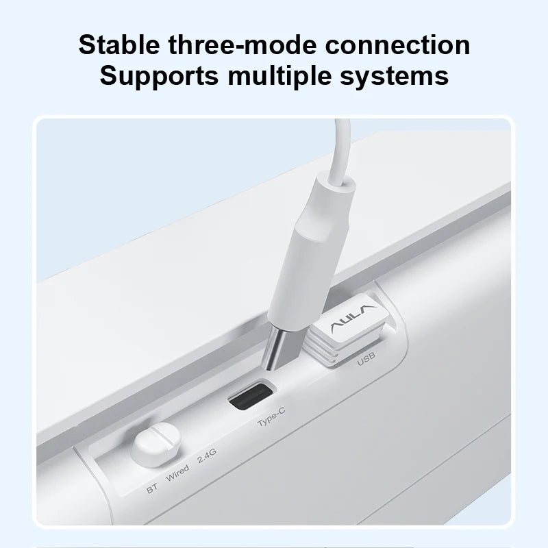 Wireless Mechanical Keyboard - 3-Mode (Wired/2.4GHz/Bluetooth), 100-Key Hot-Swap RGB PBT Keycaps, 4000mAh