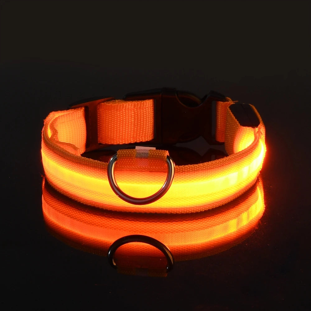 LED Luminous Nylon Dog Collar - Flashing Glow Reflective Safety Collar for Night Walks