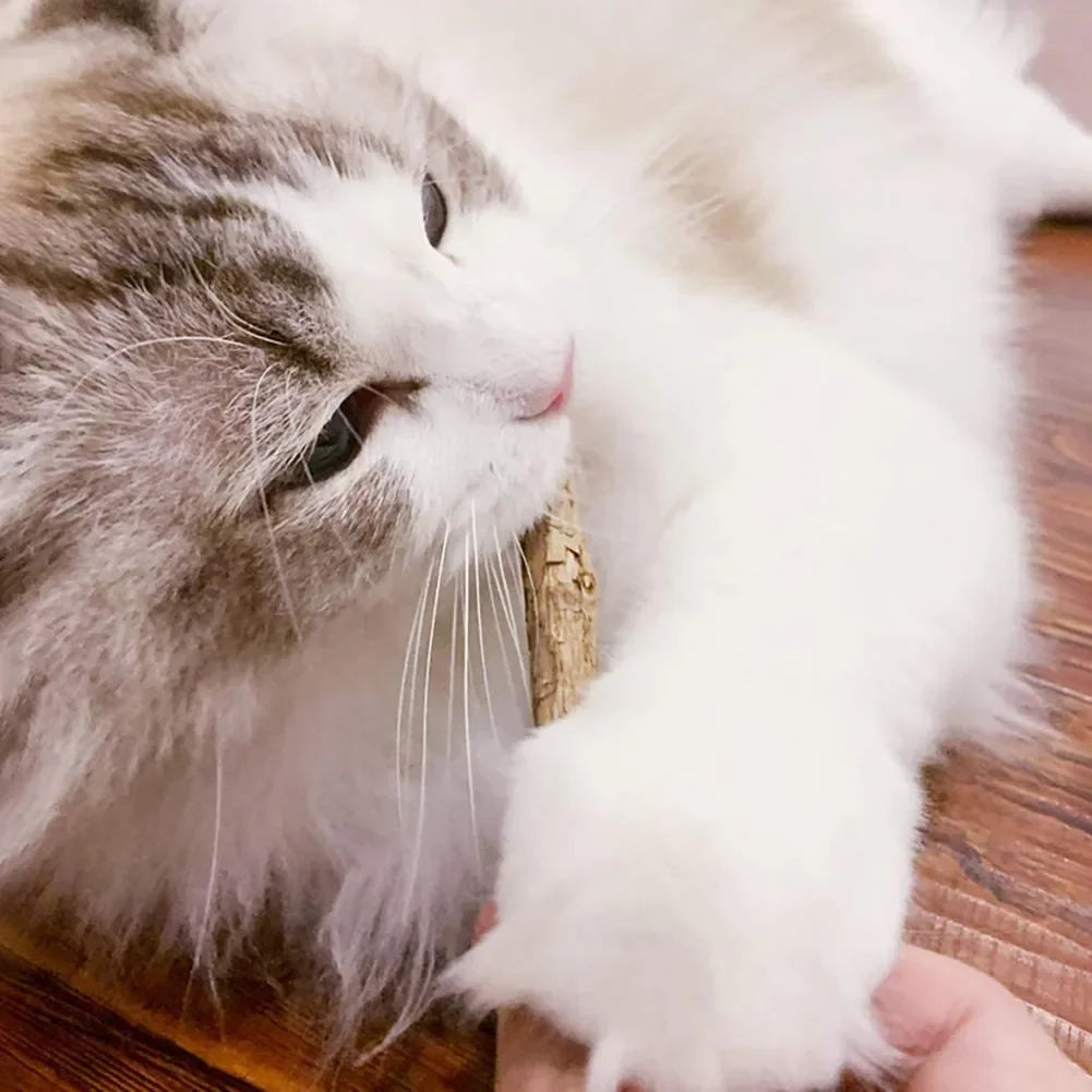 15-Pack Natural Matatabi (Silvervine) Cat Chew Sticks – Catnip Kitten Molar Dental Toy for Teeth Cleaning