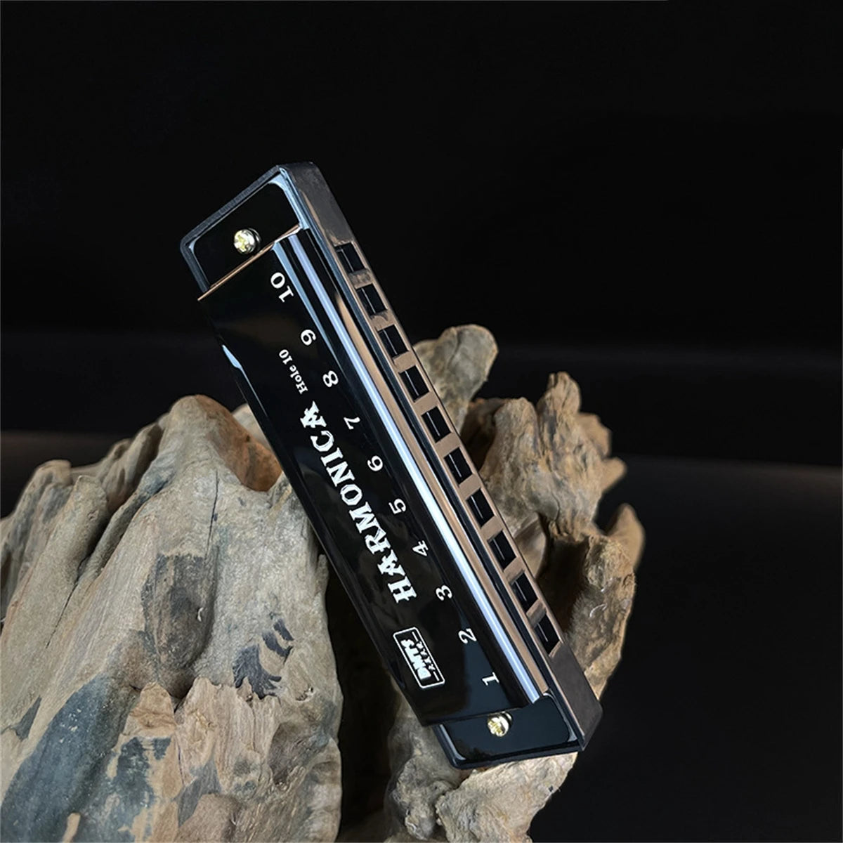 10-Hole Diatonic Harmonica in C with Protective Case – Beginner & Kids Music Gift