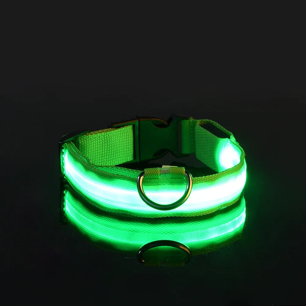 LED Glow-in-the-Dark Nylon Dog Collar & Leash — Flashing Luminous Safety Pet Collar