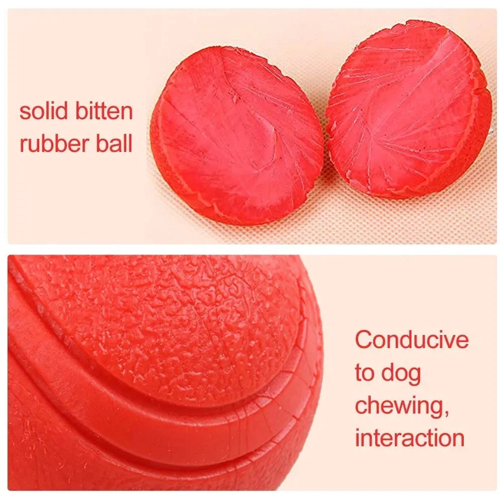 Indestructible TPR Dog Molar Ball – Bite-Resistant Interactive Training Toy, Sizes S–XL (1.8–2.8 in / 4.5–7 cm)