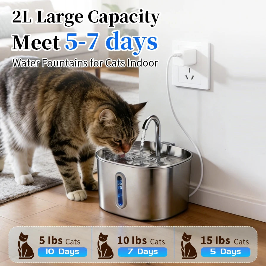 Large Stainless Steel Pet Water Fountain 2.2L view 6