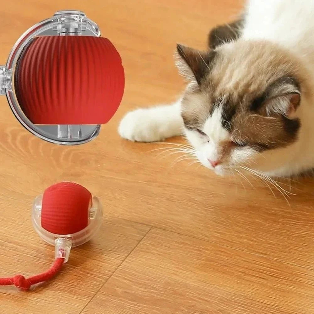 Rechargeable Interactive Cat Ball with Fake Tail, Automatic Rolling, Lights and Sound