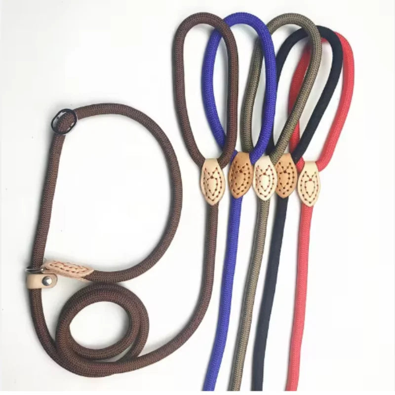 Personalized Nylon Dog Leash with Quick-Release Clip, Adjustable Loop Collar for Small to Medium Dogs