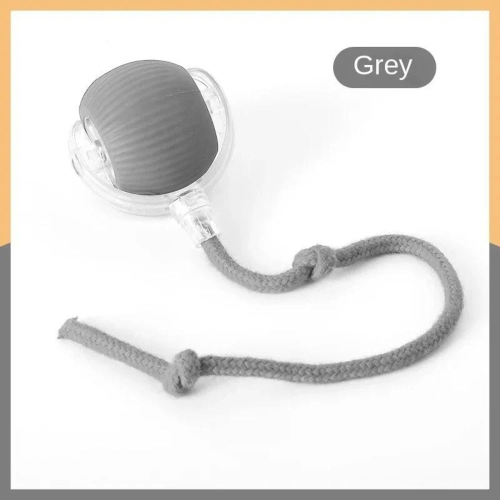 USB Rechargeable Smart Rolling Cat Ball Toy with Tail Lamp – Interactive Automatic Motion Toy for Cats & Small Dogs