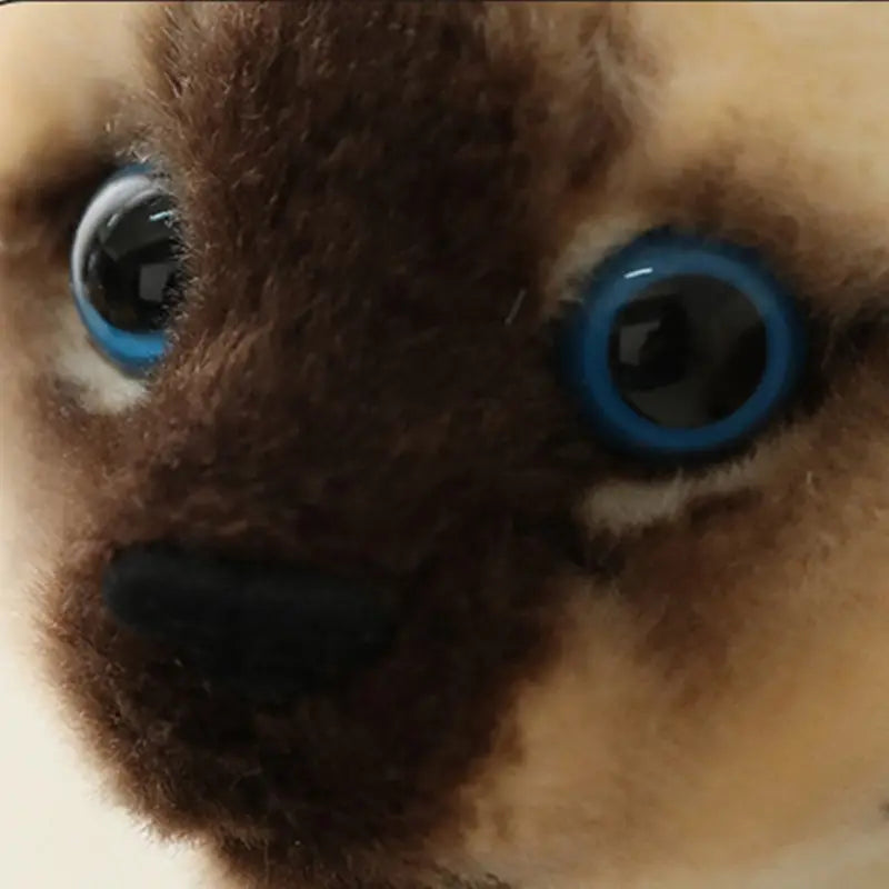 Siamese Cat Plush Toy 7.9–9.8 in (20–25 cm) Lifelike Stuffed Cat, Soft Cuddly Decor & Gift
