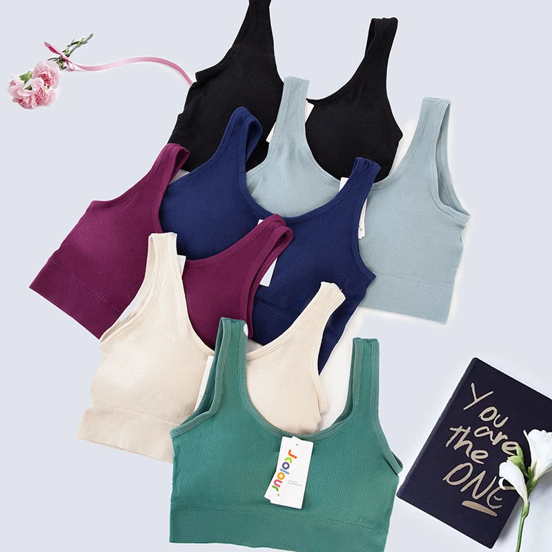 Women's Seamless Bras & Bralettes - Padded, Wire-Free Sports Bra Tops
