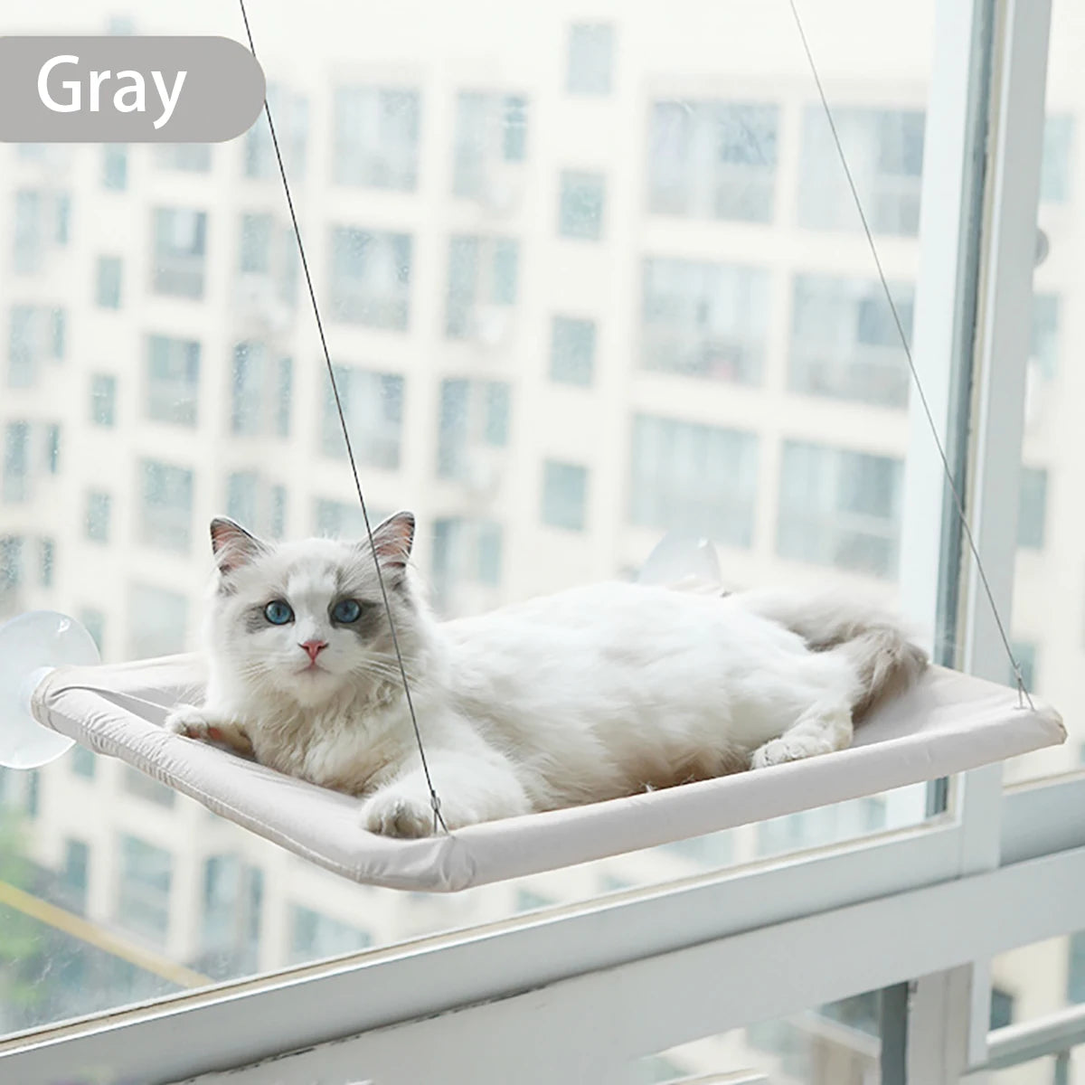 Window Cat Hammock Bed 55×35 cm (21.6×13.8 in) – Holds up to 20 kg / 44 lb | Suction-Cup Hanging Cat Perch & Sunny Window Seat