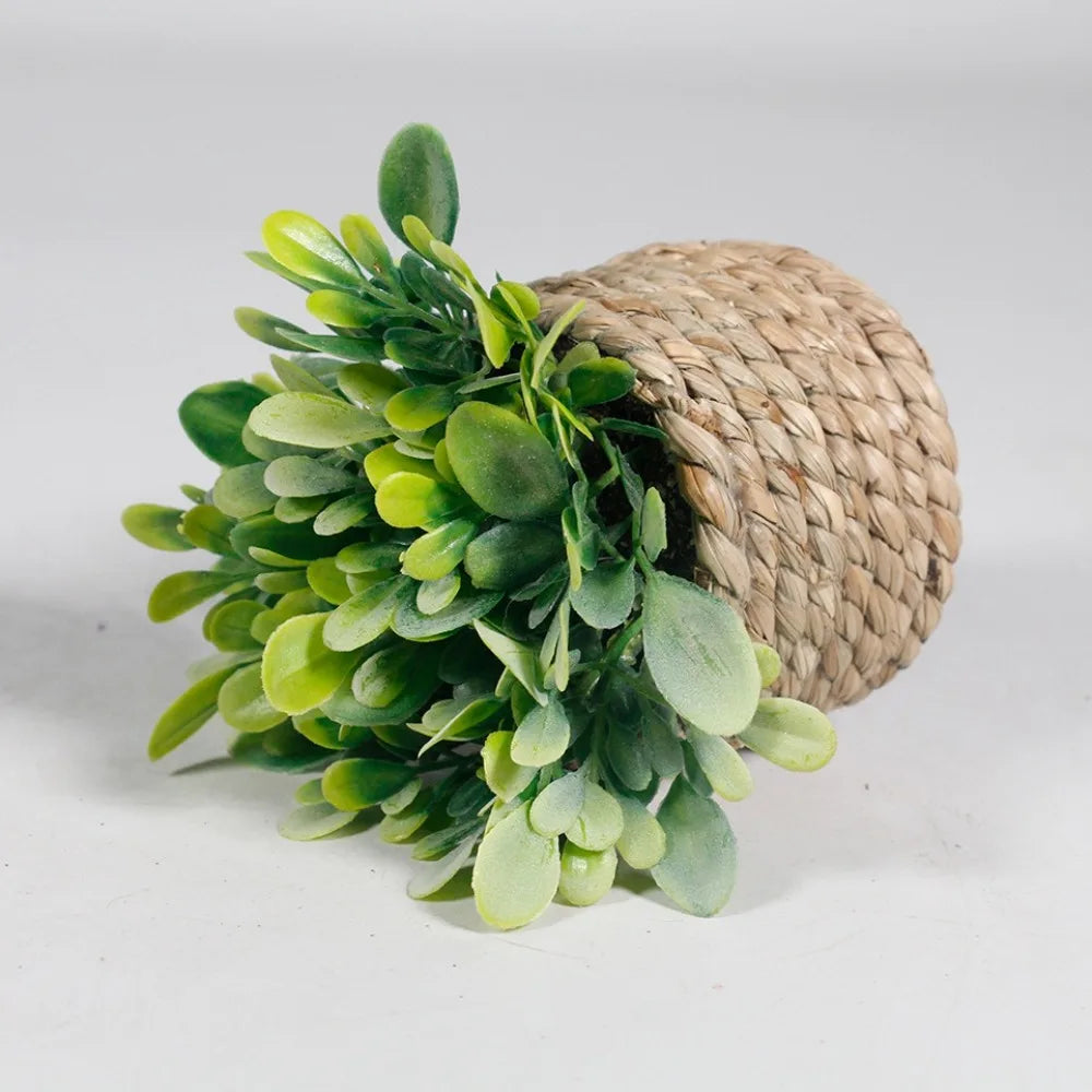 Faux Eucalyptus Potted Plant 11 cm (4.33 in) Green Artificial Tabletop Plant for Home and Office Decor