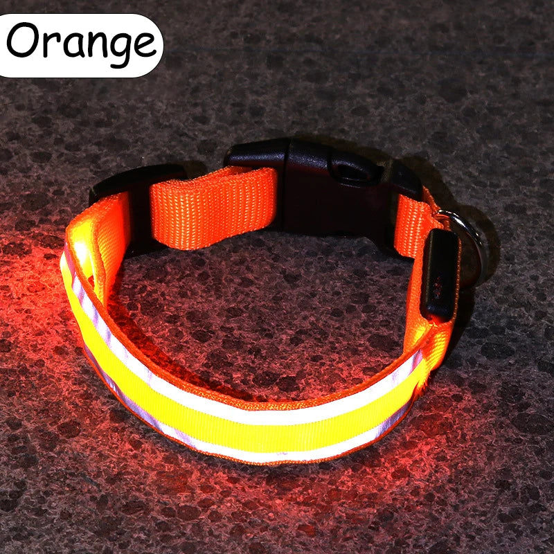 LED Luminous Nylon Dog Collar – Glow Reflective Safety Collar for Night Walks (XS-XL)