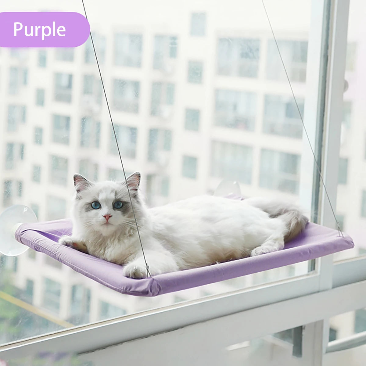Window Cat Hammock Bed 55×35 cm (21.6×13.8 in) – Holds up to 20 kg / 44 lb | Suction-Cup Hanging Cat Perch & Sunny Window Seat