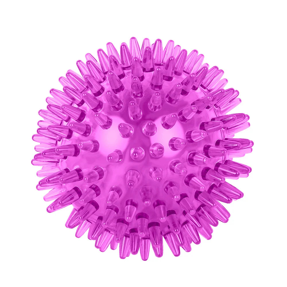 TPR Squeaky Thorn Chew Ball for Dogs & Cats — Teeth Cleaning Puppy Training Toy