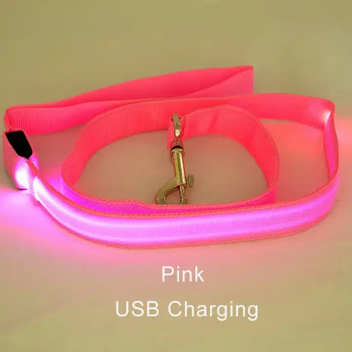 LED Light-Up Dog Leash 47.2 in (120 cm) Luminous Rope Safety Lead for Night Walks