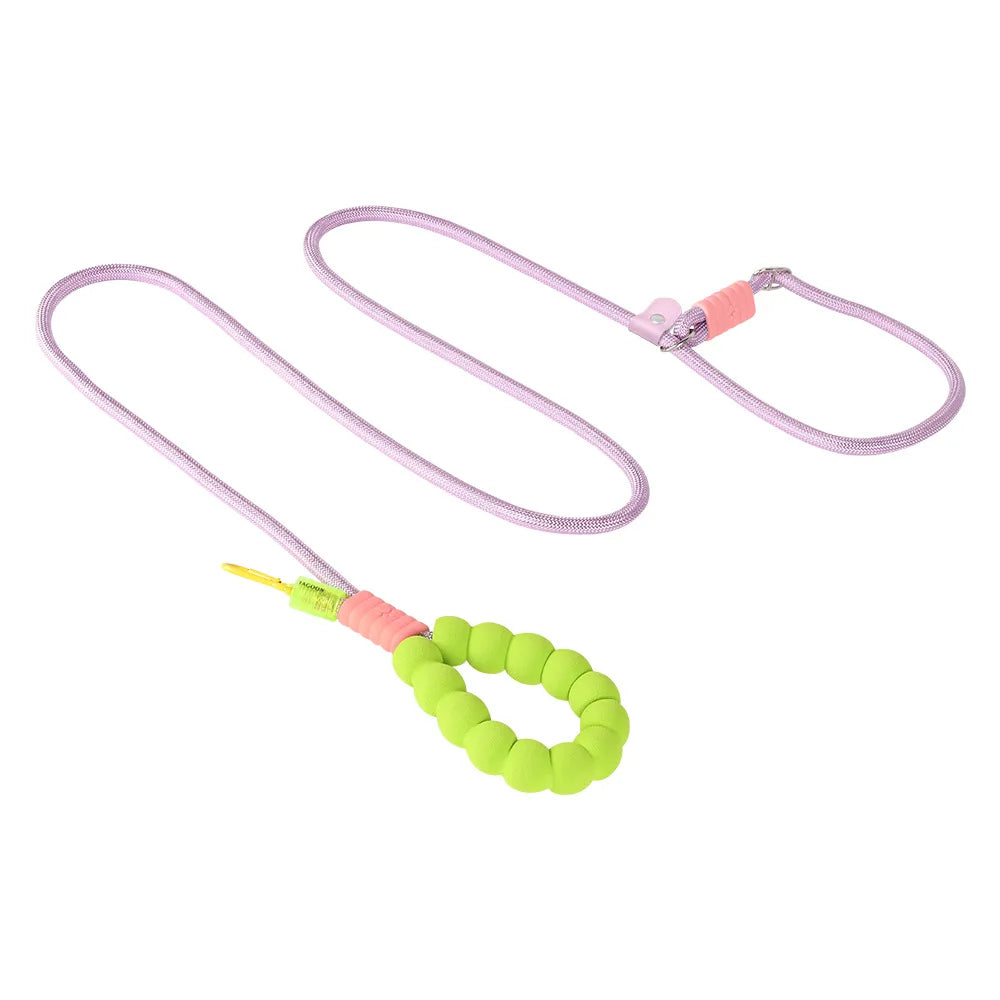 Durable Dog Leash – Sturdy Basic Pet Leash for Everyday Walks and Training