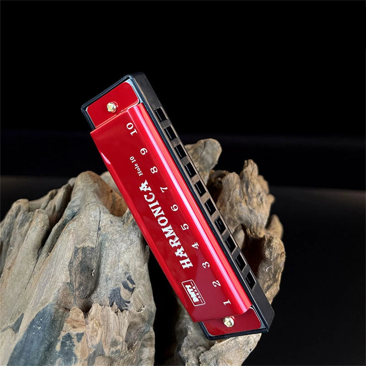10-Hole Diatonic Harmonica in C with Protective Case – Beginner & Kids Music Gift