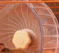Silent Hamster Wheel 5.5in (14cm) Quiet Double-Bearing Exercise Wheel with Adjustable Stand for Hamsters Gerbils Mice