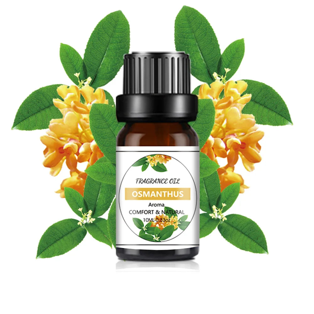 10 ml (0.34 fl oz) Mango & Pineapple Fragrance Oil for Diffuser, DIY Soap and Candle Making - Natural Plant-Based Blend