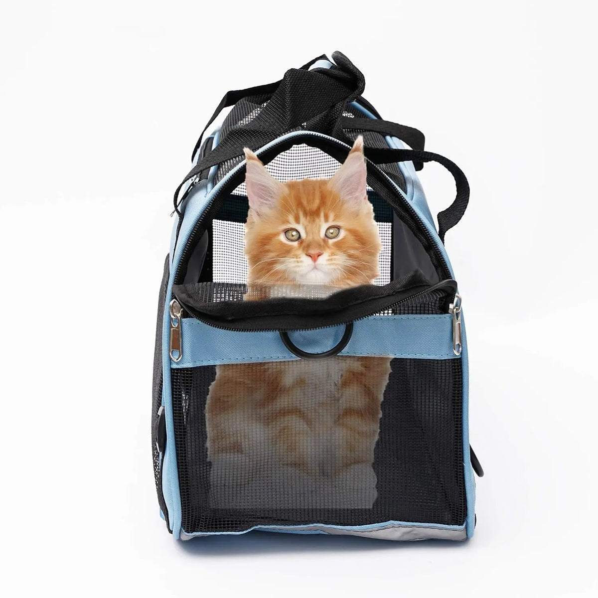 FanzyMarket small portable pet carrier bag with breathable mesh, soft-sided design, adjustable shoulder strap for dogs and cats.