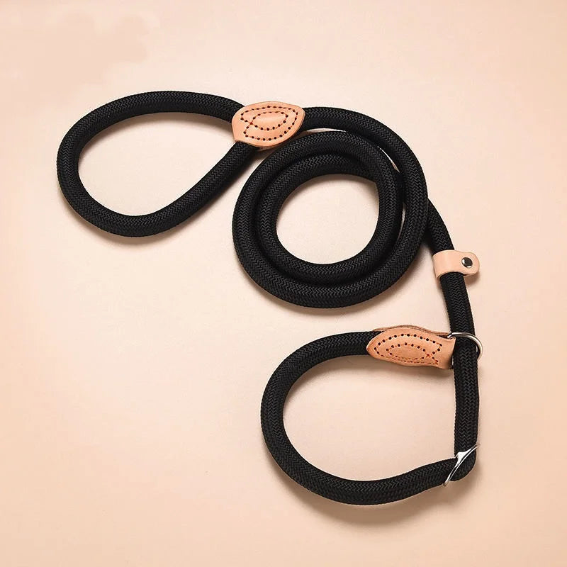 Personalized Nylon Dog Leash with Quick-Release Clip, Adjustable Loop Collar for Small to Medium Dogs