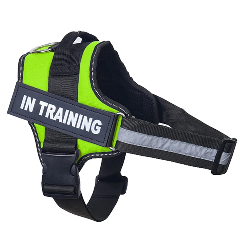 Personalized Reflective No-Pull Dog Harness Vest - Adjustable Nylon Pet Harness with Handle & Leash Attachment - Small/Medium/Large