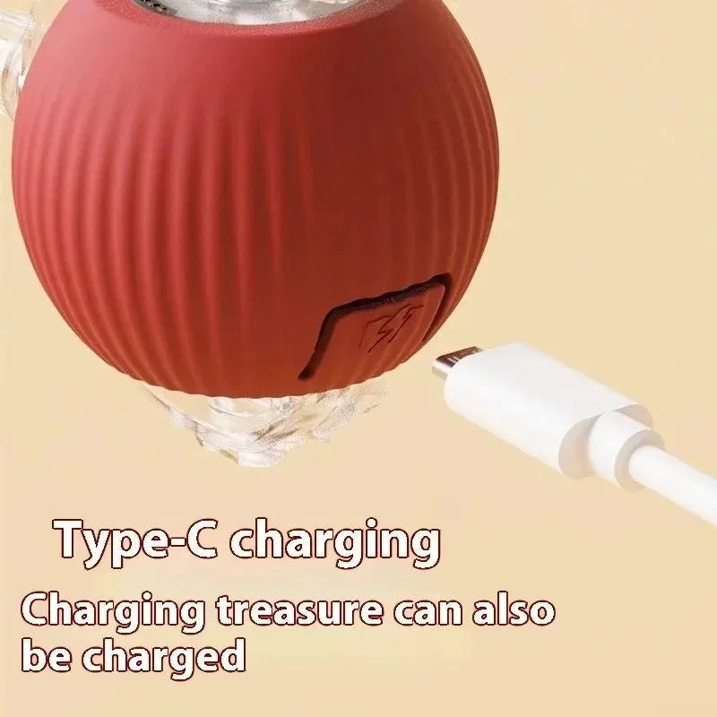 Rechargeable Interactive Cat Ball with Fake Tail, Automatic Rolling, Lights and Sound